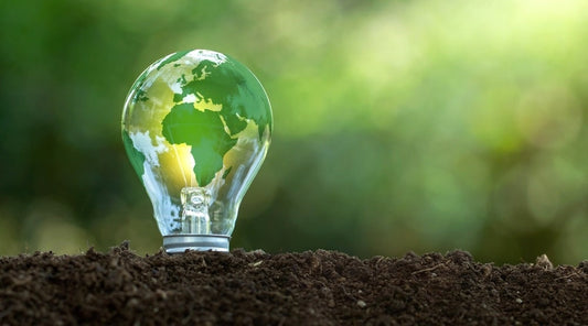 Smart Homes and Sustainability: A Synergistic Approach to Energy Efficiency